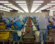 生產(chǎn)現(xiàn)場